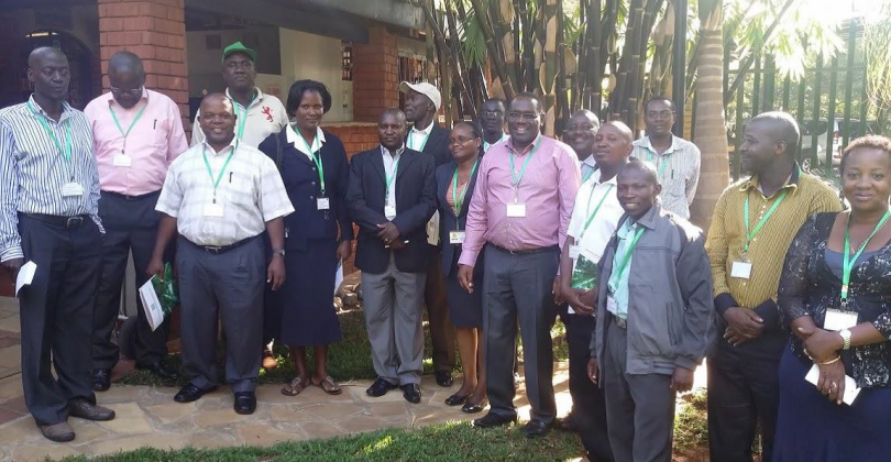 Bamboo Propagation Technology and Farm Management at Fairview Hotel, Bishop Road-Nairobi, KENYA.